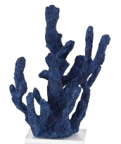 Coral Azul Deditos Base