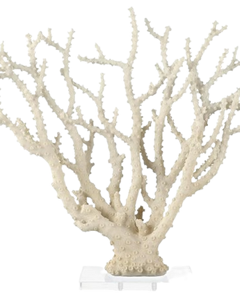 ESCULTUTA CORAL KANDY