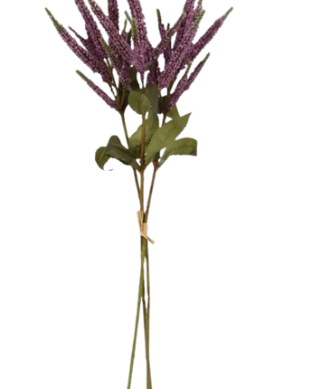 FOLLAJE SALVIA