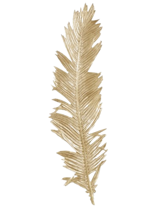 PLUMA AVE PARED