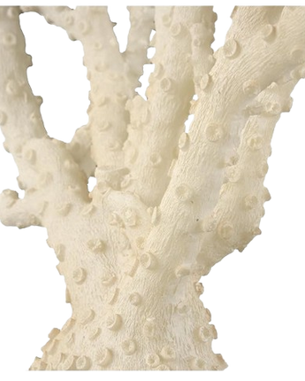 ESCULTUTA CORAL KANDY