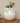 JARRON DECORATIVO OLYMPIA I