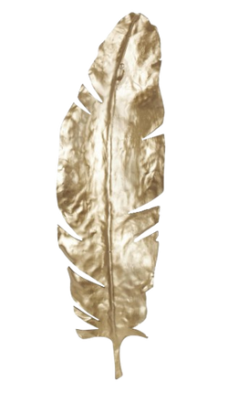 PLUMA PAJARO PARED