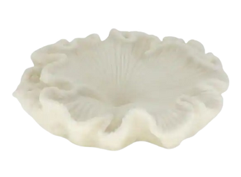 BOWL DE CONCHA RESINA DE CURZO MALLORCA