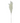 CARRIZO BEIGE