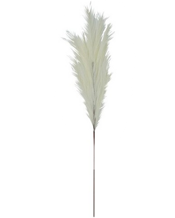 CARRIZO BEIGE